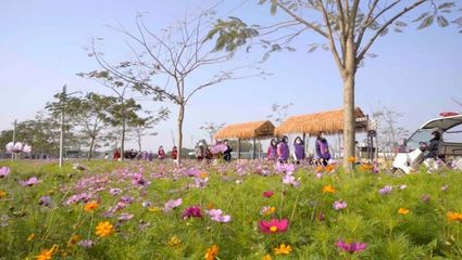 百花爭春！2023廣東省森林文化周春季活動正式啟動