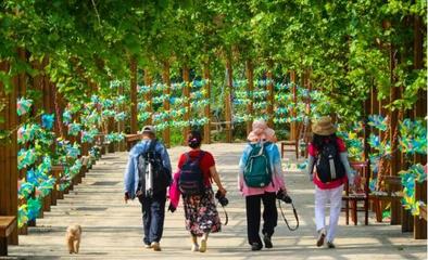 山泉覓清涼，隱匿在大山深處的最美齊長城百果園休閑觀光活動