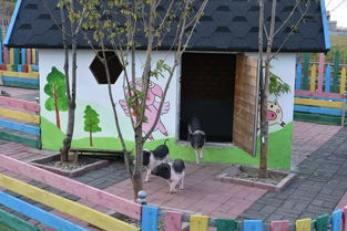 秋日拾趣，鄉(xiāng)野尋蹤 '郊區(qū)美如畫'之鄉(xiāng)村采摘觀光季