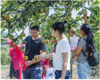 鏡頭下的悠然時光 探索休閑觀光活動中的視覺敘事