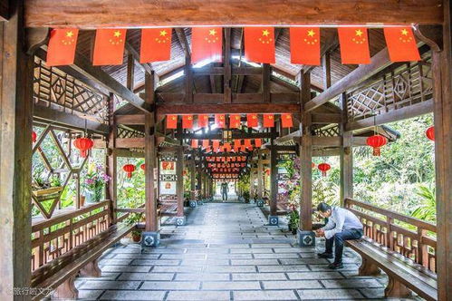 南寧行記 龍門水都的驚喜與桉樹下的悠然時(shí)光